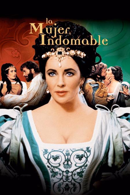 Póster de la película La mujer indomable