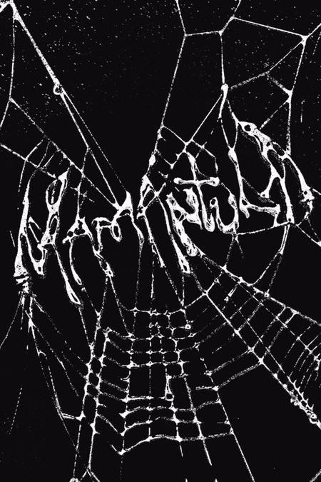 Póster de la película Mamántula