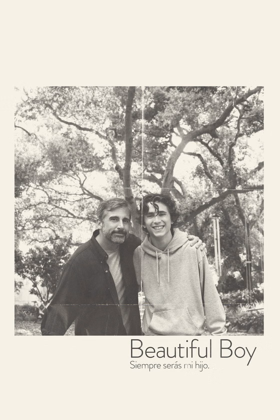 Póster de Beautiful Boy: siempre serás mi hijo