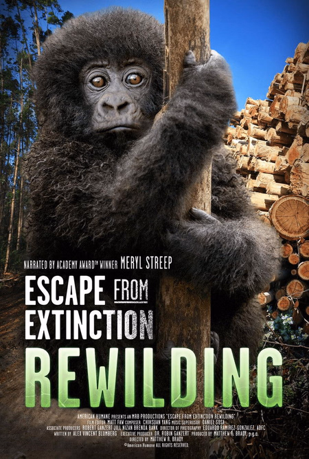 Póster de la película Escape from Extinction: Rewilding