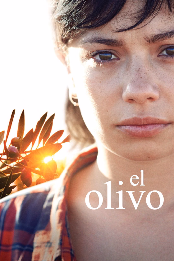 Póster de El olivo