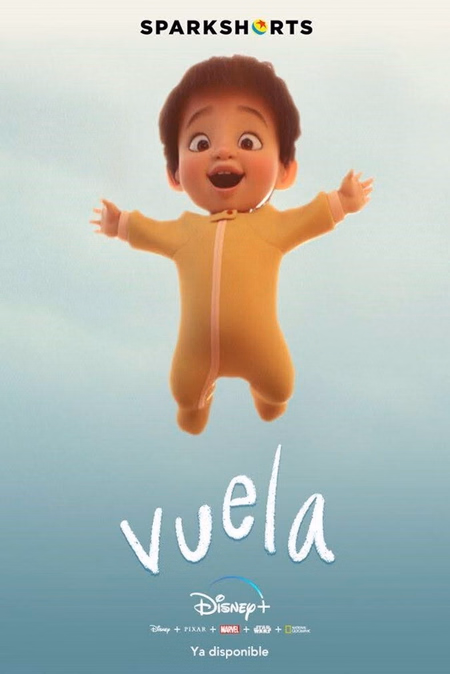 Póster de la película Vuela