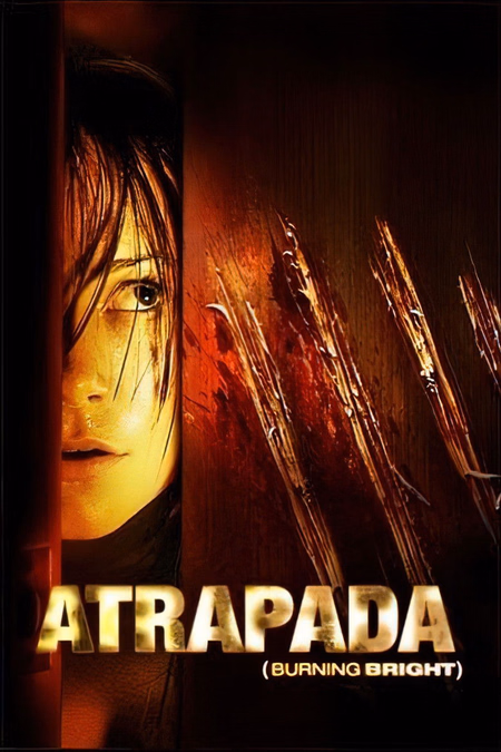 Póster de la película Atrapada