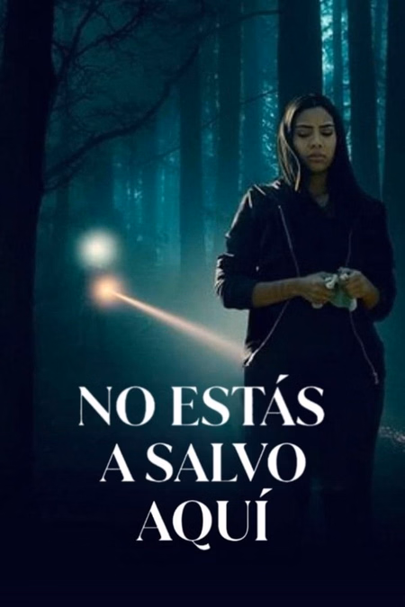 Póster de la película No estás a salvo aquí