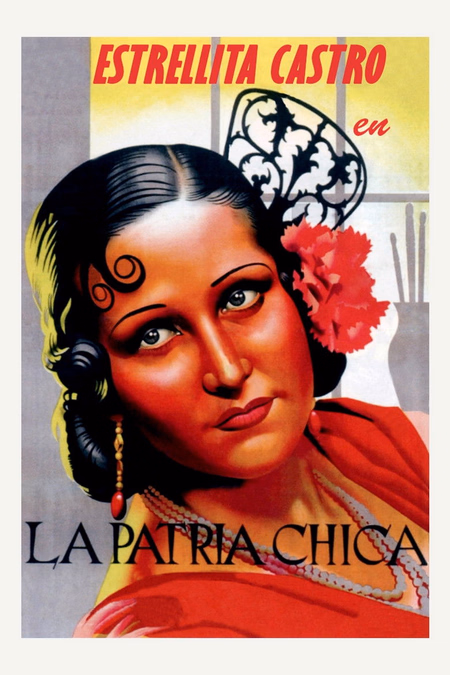 Póster de la película La patria chica