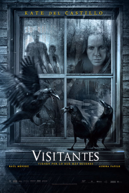 Póster de la película Visitantes