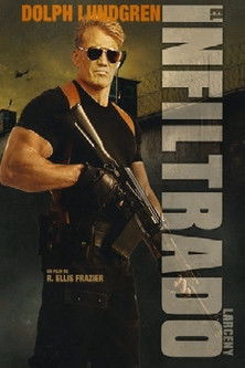 Póster de la película El infiltrado (Larceny)