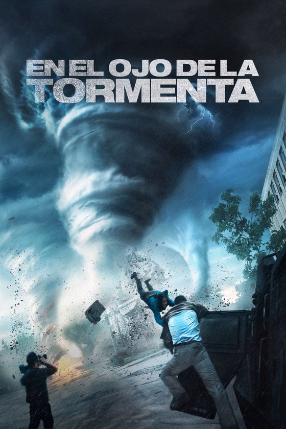 Póster de En el ojo de la tormenta