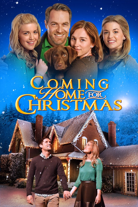 Póster de la película Vuelta a casa por Navidad