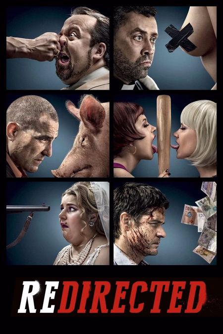 Póster de la película Redirected