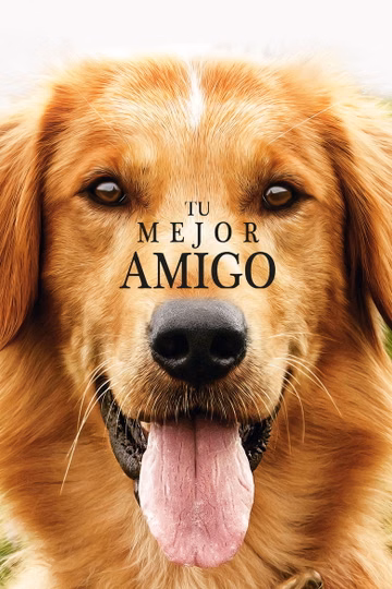 Póster de Tu mejor amigo