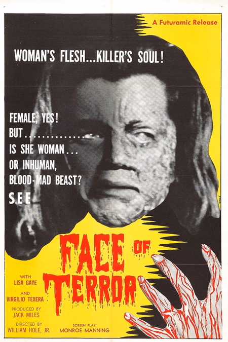 Póster de la película La cara del terror