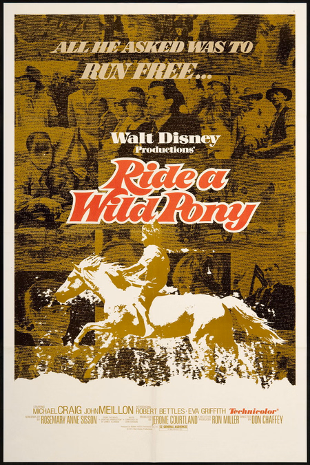 Póster de la película Ride a Wild Pony