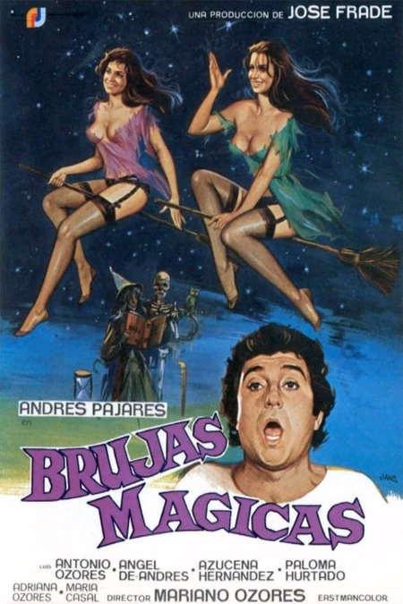 Póster de la película Brujas mágicas