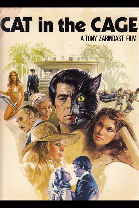 Póster de la película El gato