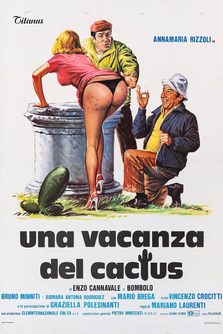 Póster de la película Una vacanza del cactus