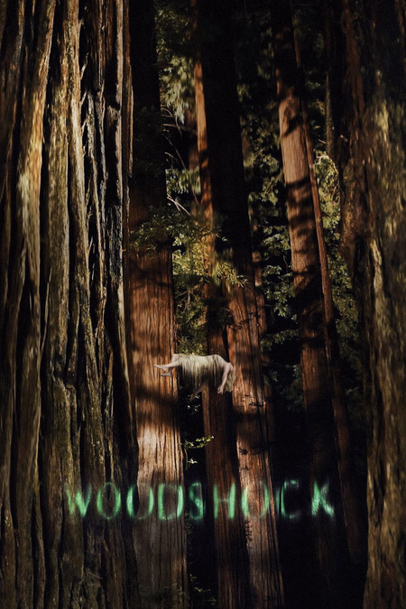 Póster de la película Woodshock