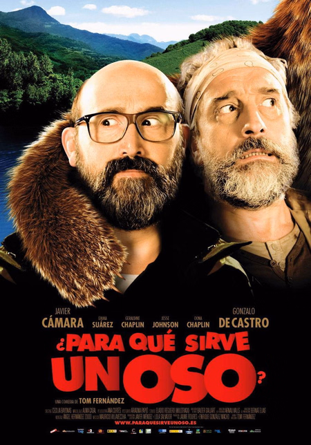 Póster de la película ¿Para qué sirve un oso?