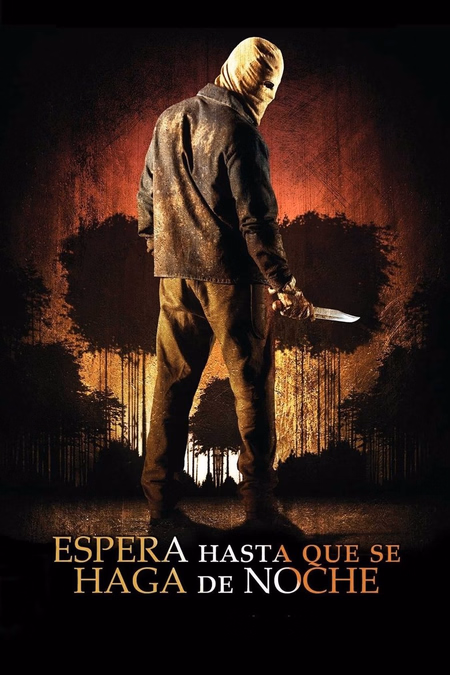 Póster de la película Espera hasta que se haga de noche