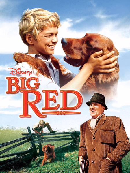 Póster de la película El campeón