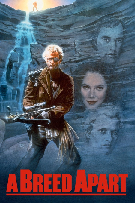 Póster de la película En busca del águila