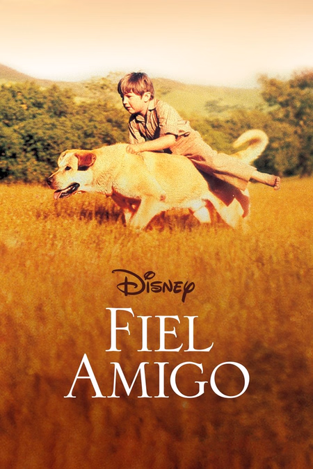 Póster de la película Fiel amigo