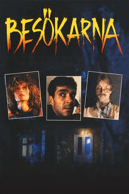 Póster de la película Los Visitantes