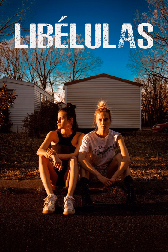 Póster de Libélulas