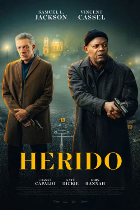 Póster de la película Damaged