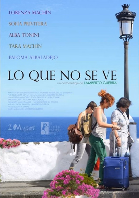 Póster de la película Lo que no se ve