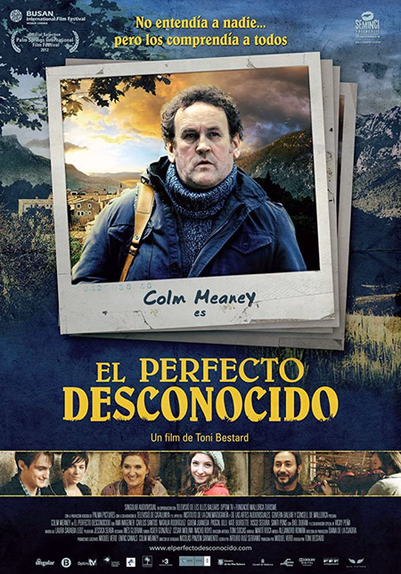 Póster de la película El perfecto desconocido