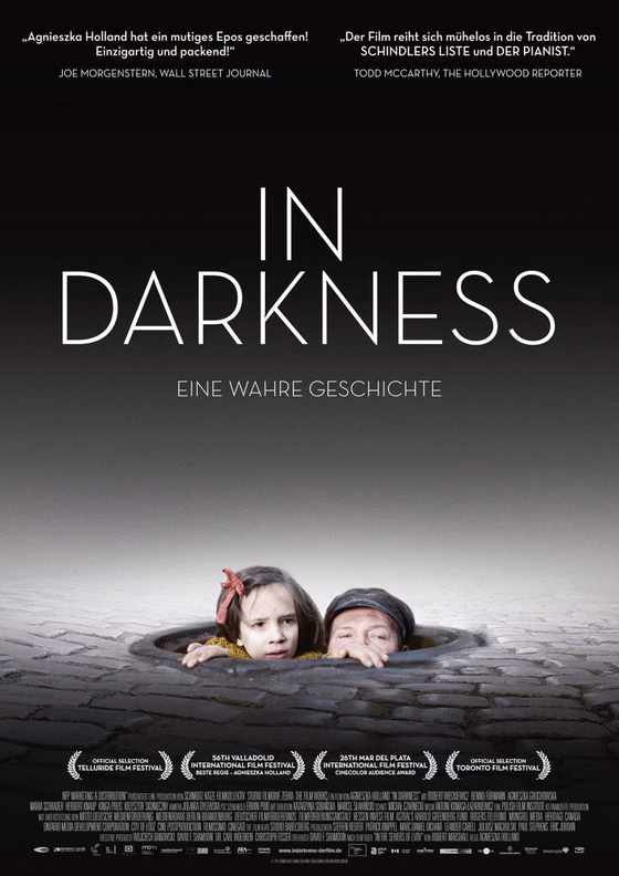 Póster de In Darkness
