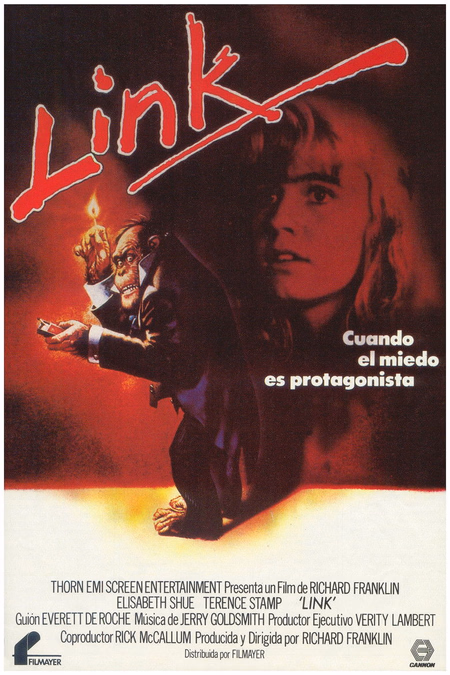 Póster de la película Link