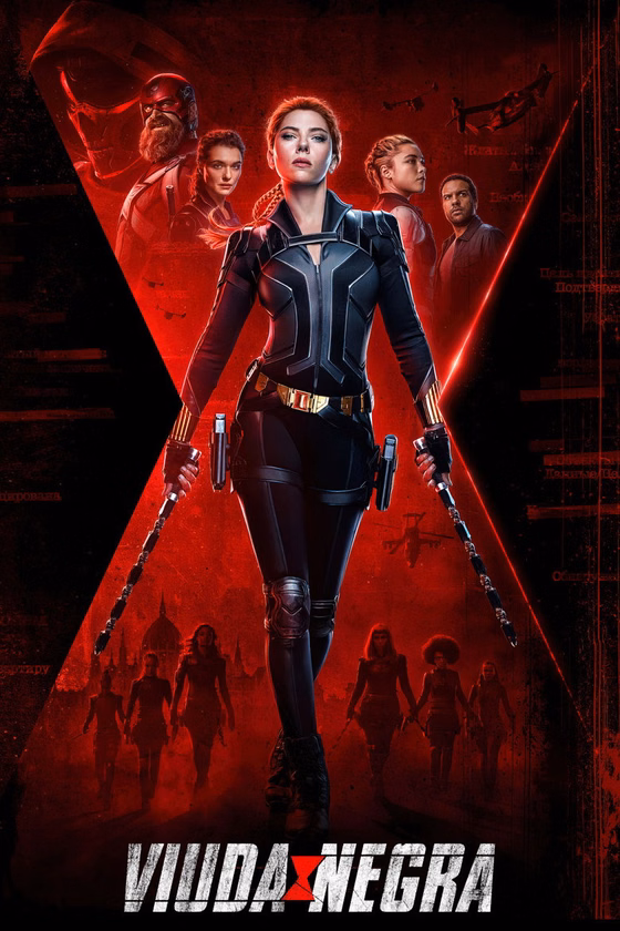 Póster de Viuda negra