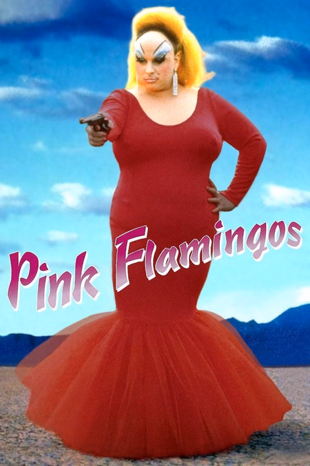 Póster de la película Pink Flamingos