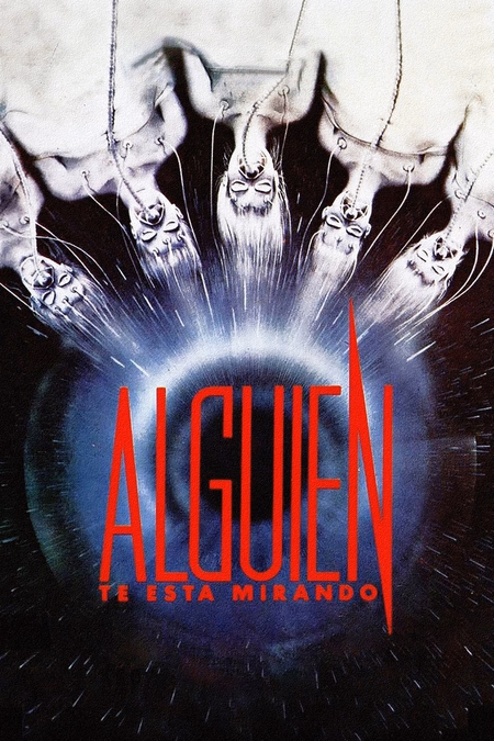 Póster de la película Alguien te está mirando
