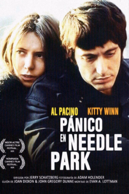 Póster de la película Pánico en Needle Park