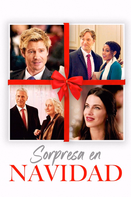 Póster de la película Sorpresa en Navidad