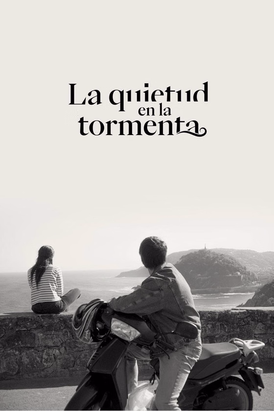 Póster de La quietud en la tormenta