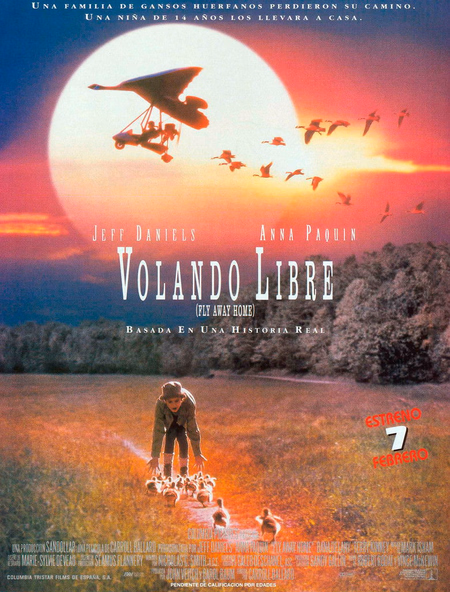 Póster de la película Volando libre
