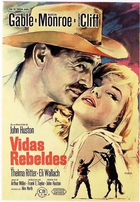 Póster de la película Vidas rebeldes