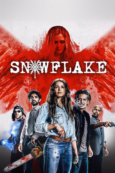 Póster de la película Snowflake