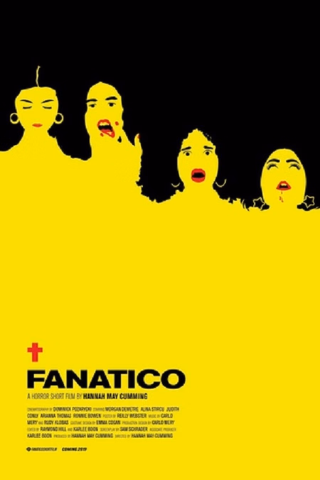 Póster de la película FANATICO