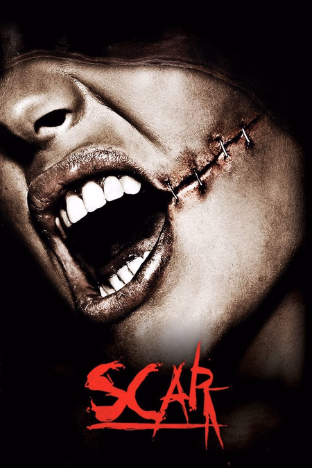Póster de la película Scar 3D