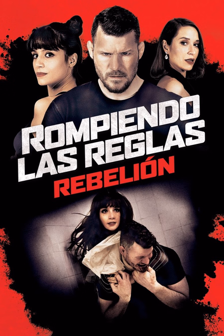 Póster de la película Rompiendo las reglas: Rebelión