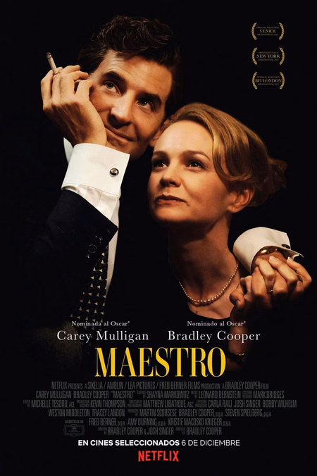 Póster de la película Maestro