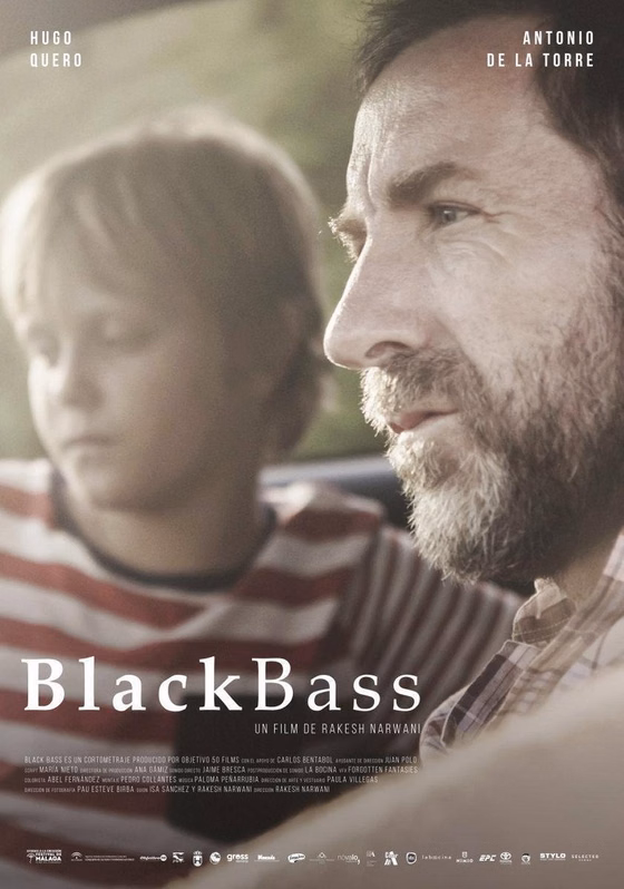 Póster de Black Bass