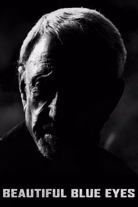 Póster de la película Iron Cross