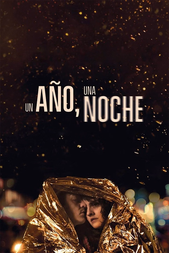 Póster de Un año, una noche