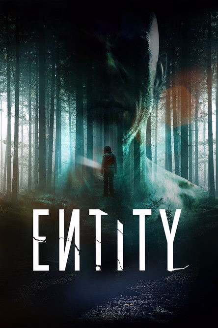Póster de la película Entity